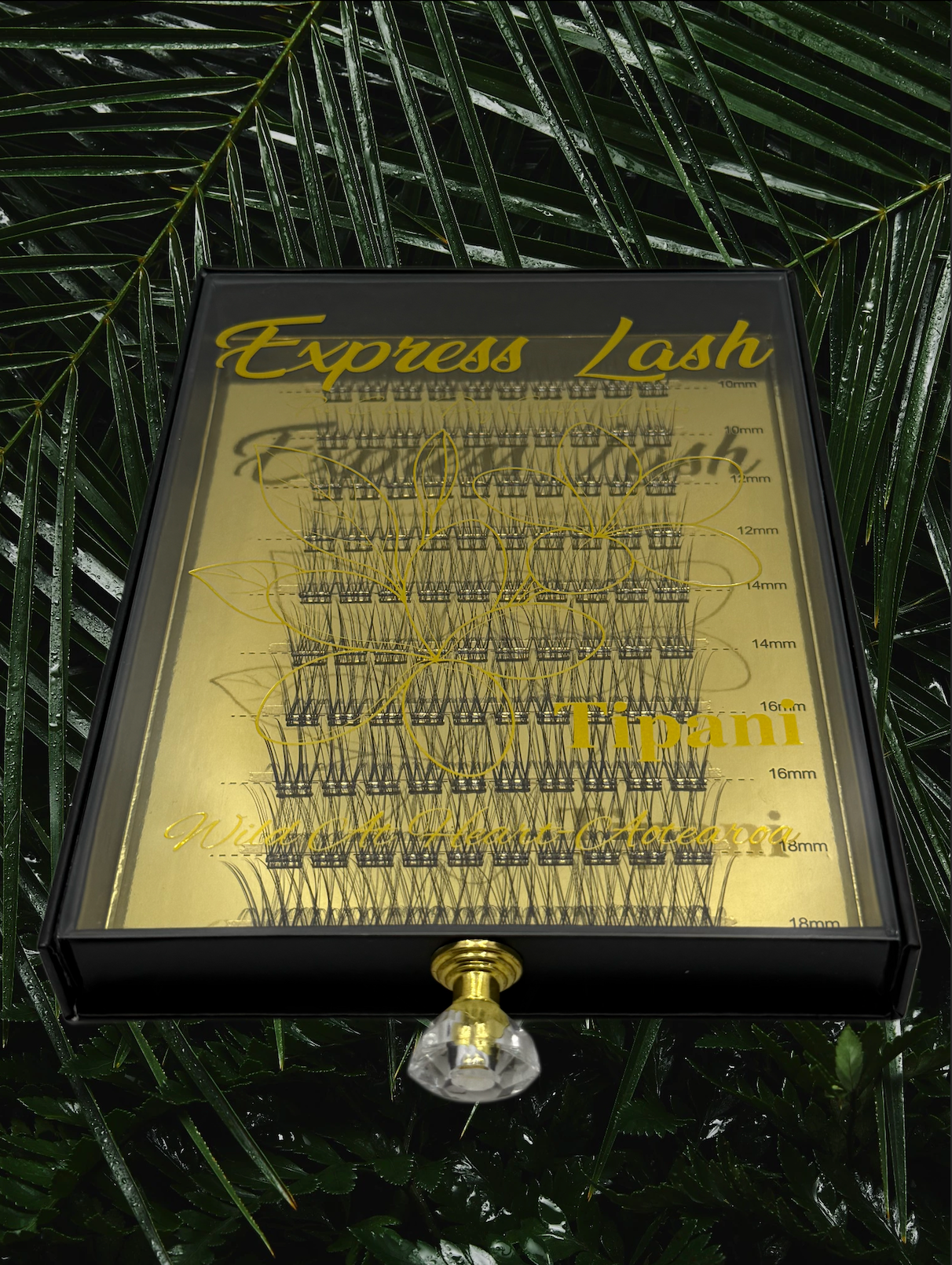 TIPANI (EXPRESS LASH) BLACK