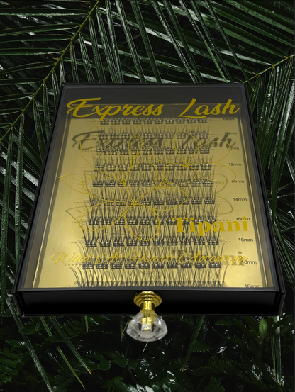 TIPANI (EXPRESS LASH) BLACK