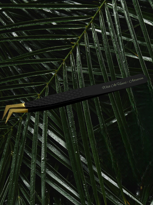 SHARP PRECISION TWEEZERS