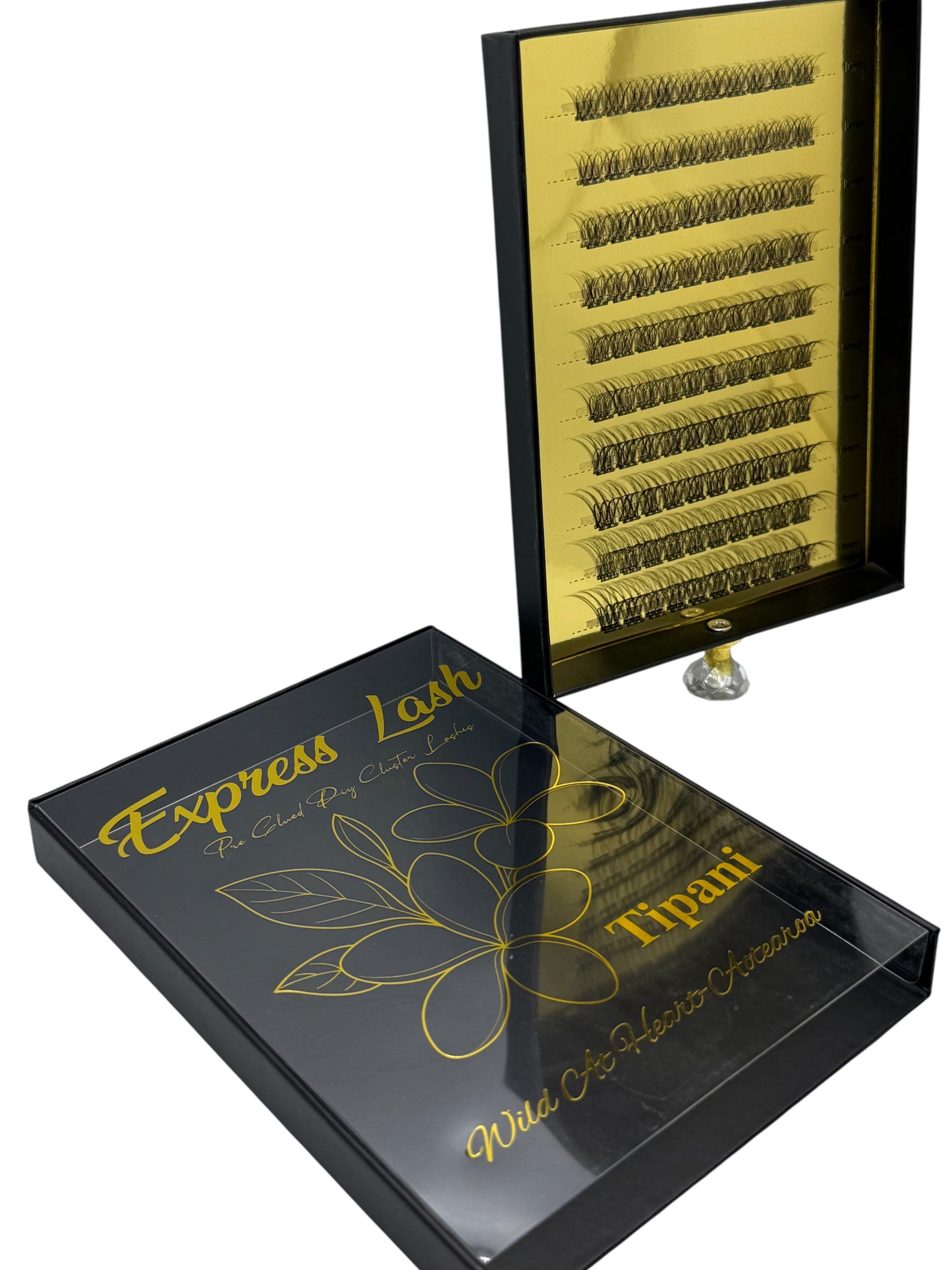 TIPANI (EXPRESS LASH) BLACK